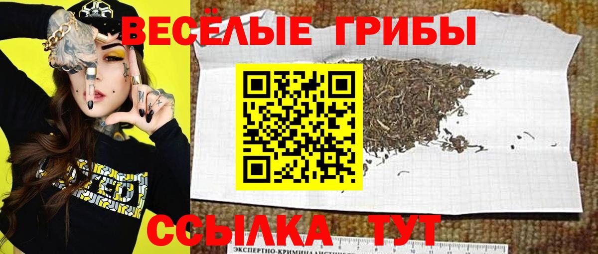 Галлюциногенные грибы мухоморы Старая Купавна