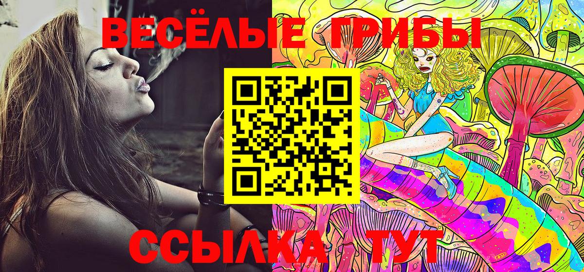 Галлюциногенные грибы мухоморы  Вход с VPN  Старая Купавна 